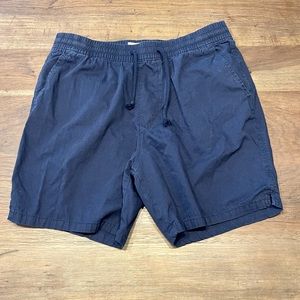 Abercrombie and Fitch Shorts Blue Medium